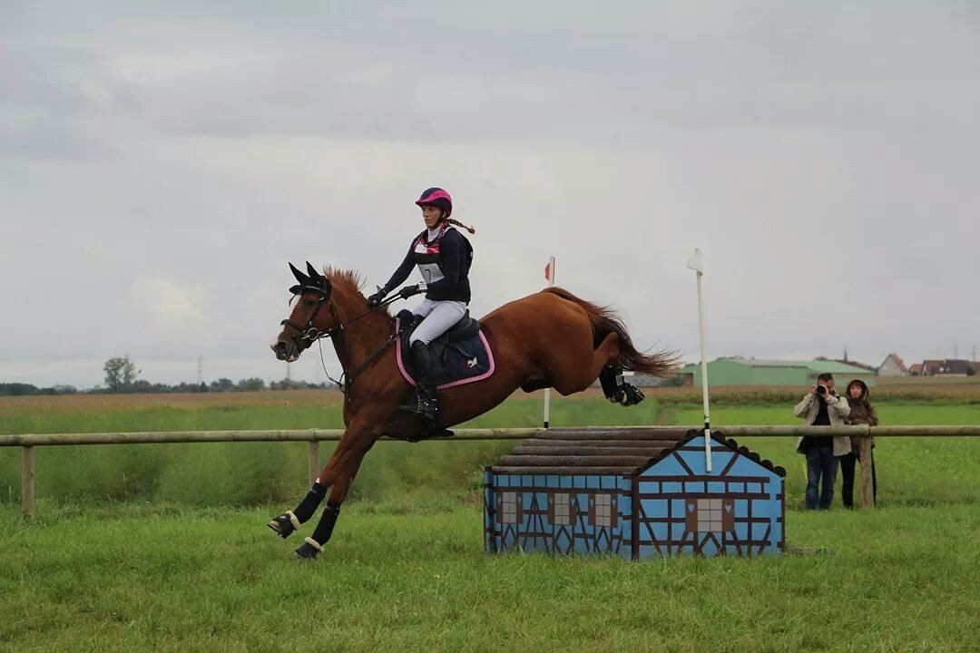 Cavalière en plein saut sur un obstacle de cross, en concours complet
