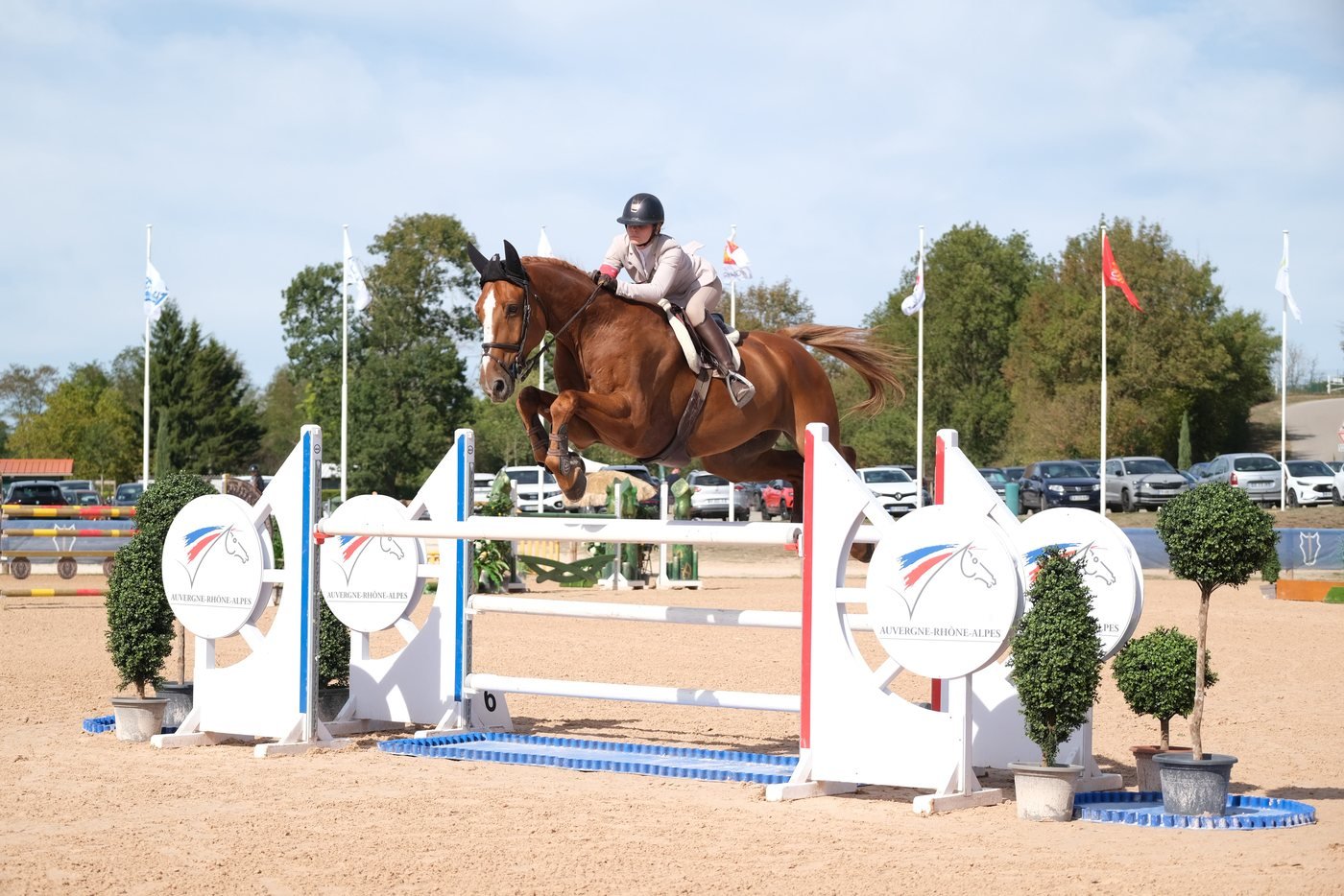 Cheval alezan et son cavalier en plein saut, en championnat de saut d'obstacles