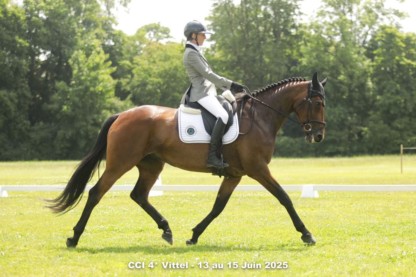 Reprise de dressage en concours complet