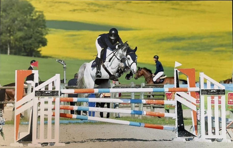 Cavalier en plein saut sur un cheval gris, devant un champ de colza