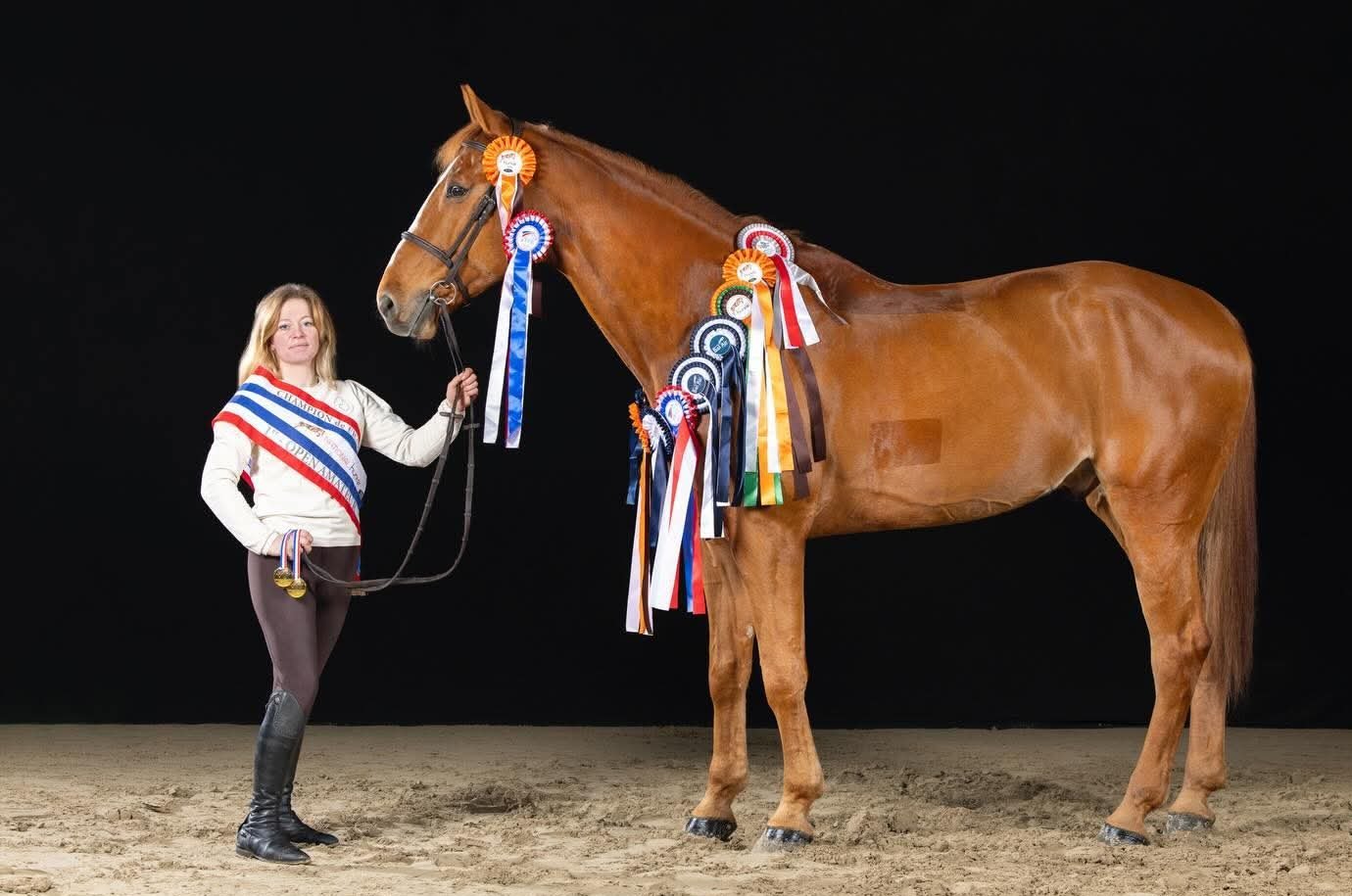 Cavalière et son cheval alezan couvert de flots, avec l'écharpe de championne
